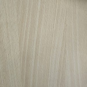 import placeholder for 2838